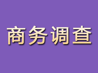 沙坡头商务调查